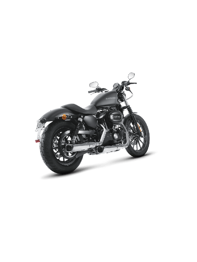 Harley-Davidson Sportster XL 883R Roadster 06-13