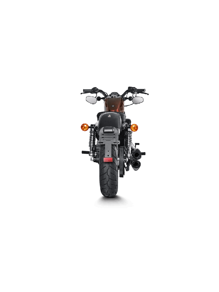 Harley-Davidson Sportster XL 1200C Custom 14-16