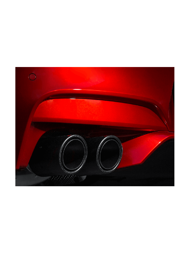 BMW M6 (F12, F13) Carbon 12-16