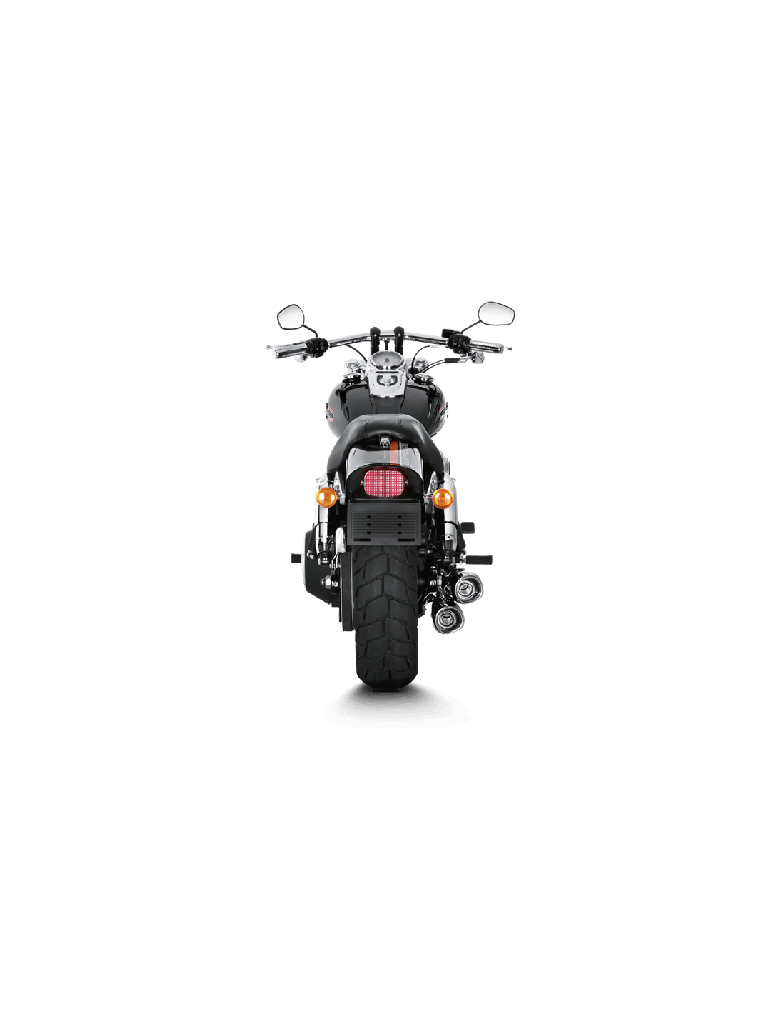 Harley-Davidson Dyna FXDF Fat Bob 08-16