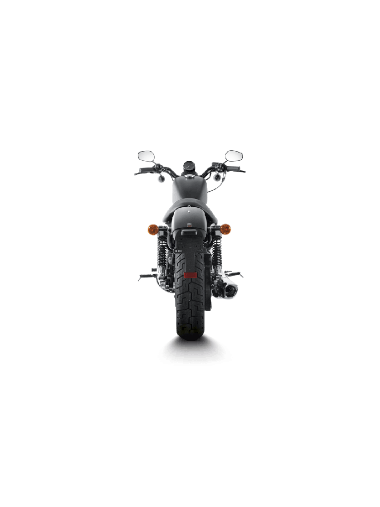 Harley-Davidson Sportster XL 883C 06-10