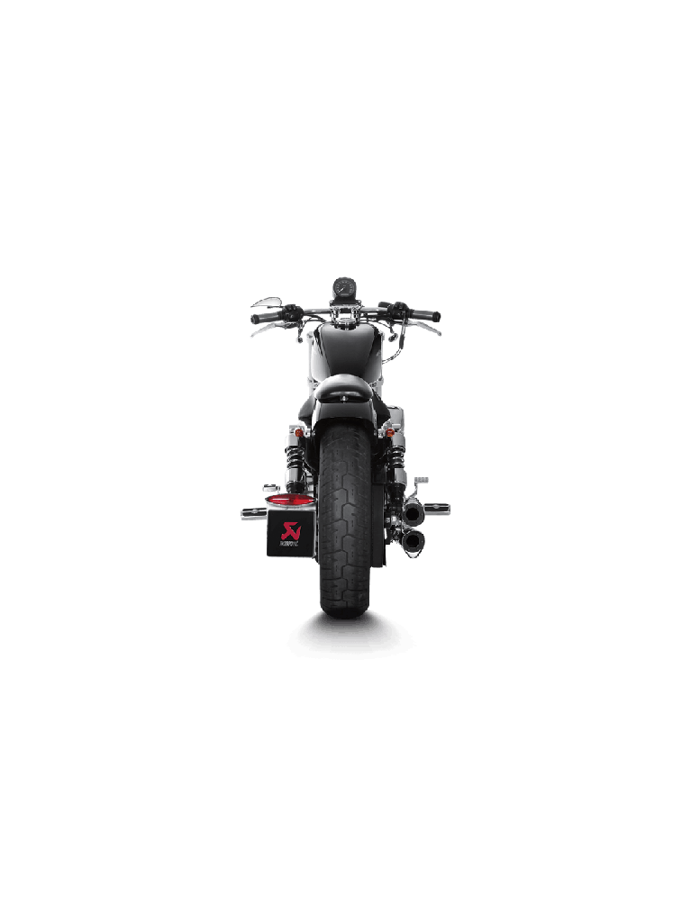 Harley-Davidson Sportster XL 1200L Low 06-11
