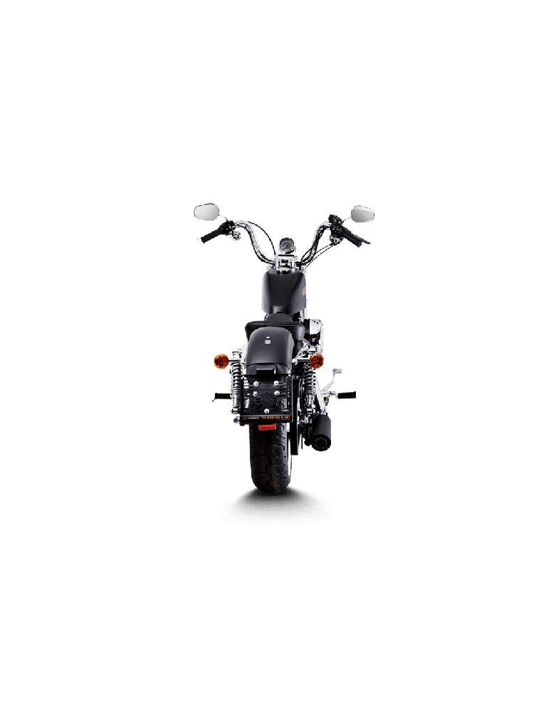 Harley-Davidson Sportster XL 1200C Custom 14-16